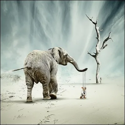 Quel acteur ne joue pas dans le film "Un éléphant, ça trompe énormément" ?