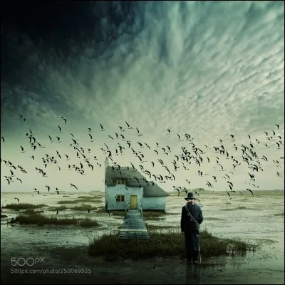 Dans le film d'Hitchcock "Les oiseaux, quel est le premier oiseau qui attaque Mélanie ?