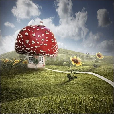 Dans quelle oeuvre, les personnages vivent-ils dans des champignons ?