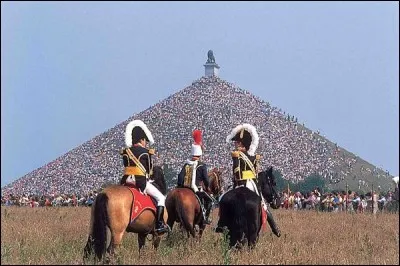 Après la bataille de Waterloo, le duc de Wellington, le roi de Prusse et le prince de Hohenzollern se réunissent à Haguenau pour décider du sort de la France...