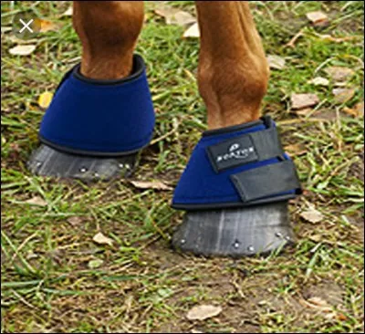 Comment s'appelle cette protection ?