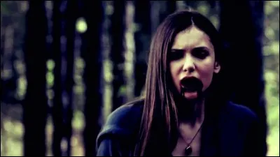 Comment Elena devient-elle un vampire après avoir bu le sang de Damon ?