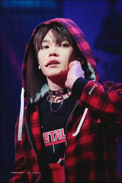 Quel est le style de chanteur que tu écoutes ?