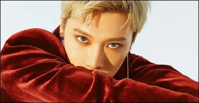 Quel animal de compagnie veux-tu ?