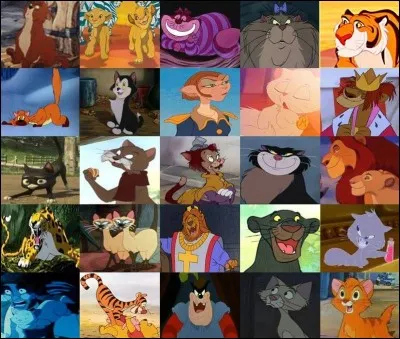 Quel est son chat de fiction favori ?