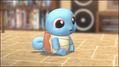 Quelle est l'évolution de Carapuce ?