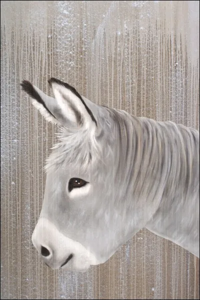 Que devient le petit âne gris à la fin de la chanson d'Hugues Aufray ?