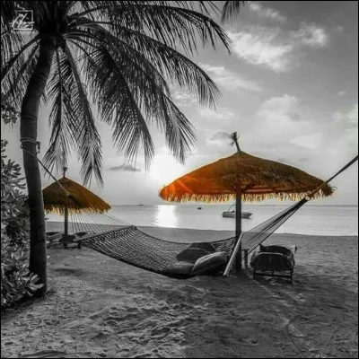 Combien d'ans de vacances Jules Verne nous décrit-il dans son livre ?