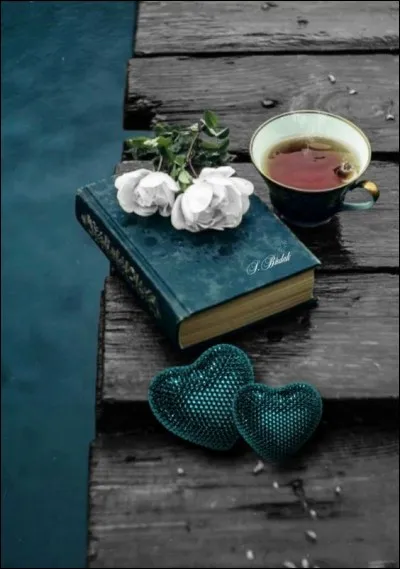 Qui a écrit "Quatrevingt-Treize" ?