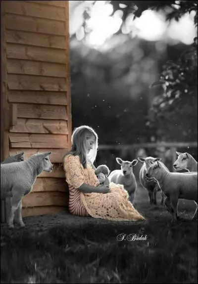 Qui est l'auteur de la série de livres pour la jeunesse "Les Six Compagnons" ?