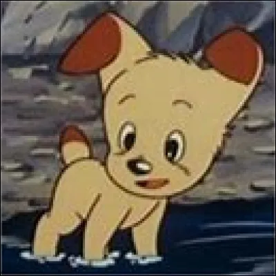 Comment se nomme ce petit chiot sans défense ?