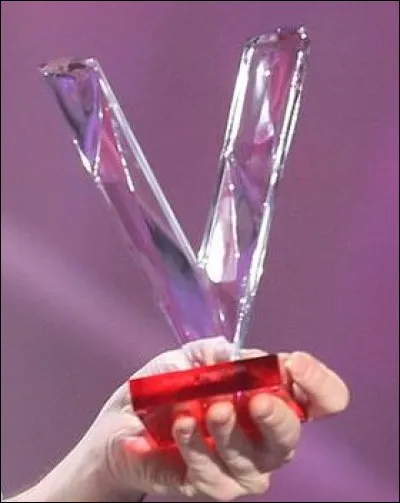 En février 2018, Camille a gagné sa 5ème Victoire de la musique. Que récompensait-elle ?