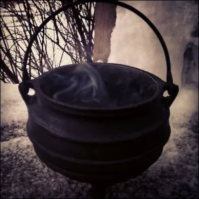 Quel ingrédient n'entre pas dans la composition du polynectar ?