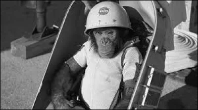 Le premier animal à avoir été envoyé dans l'espace était un singe.
