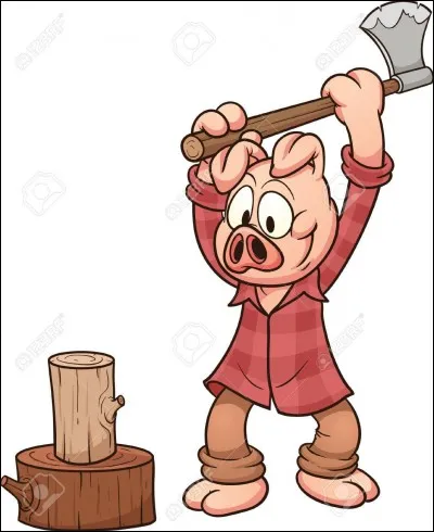 Ce bûcheron coupe du bois et pousse un [...] puissant pendant son violent effort.