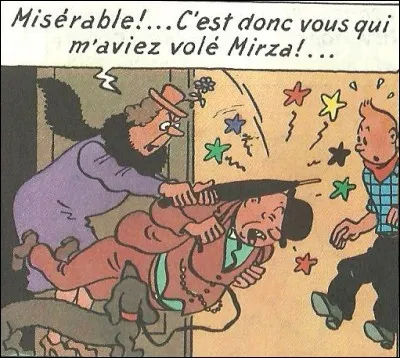 Nino Ferrer demande : ''Z'avez pas vu Mirza ? Oh la la la la la ! 
[...] est donc passé ce chien ?''.