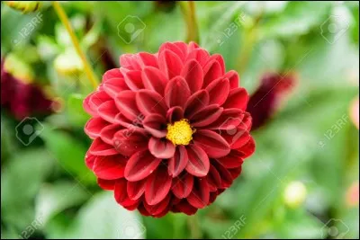 Pour James Ellroy, qui est noir ?