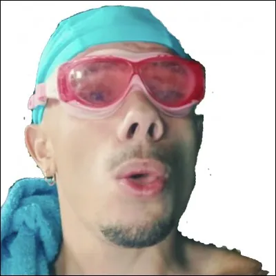 Dans quel film peut-on voir le youtubeur Mister V ?