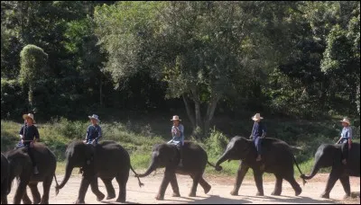 Quelle blonde rigolote est la youtubeuse la plus suivie de France ?