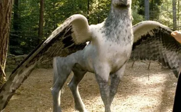 Quiz Creatures