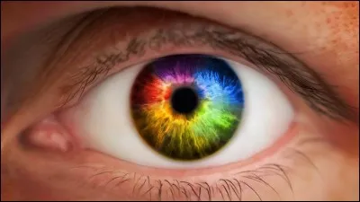 De quelle couleur sont obligatoirement ses yeux ?