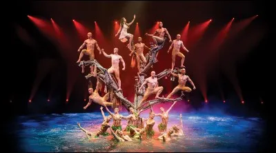 Quel est le nom de cette troupe ?