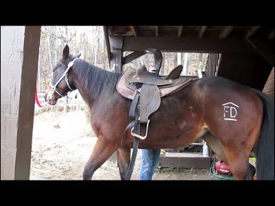 Que faut-il faire pour s'arrêter ?