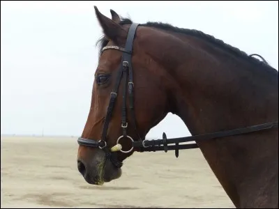 Comment faut-il tourner ?