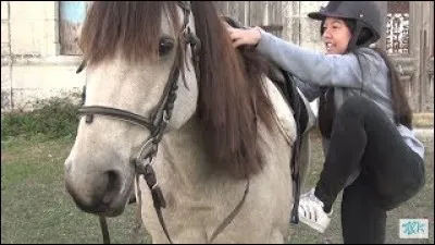 Pour aller au trot comment t'y prends-tu ?