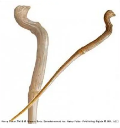 À qui appartient cette baguette ?