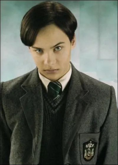 Lequel de ces objets n'est pas un Horcruxe ?