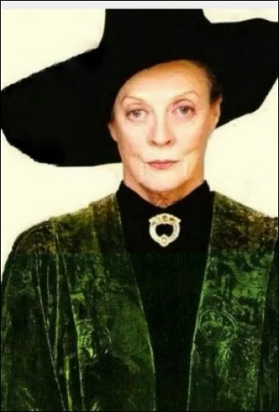 Qu'enseigne le professeur McGonagall à Poudlard ?
