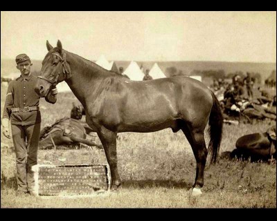 Comment s'appelle le seul cheval survivant de la bataille de Little Bighorn ?