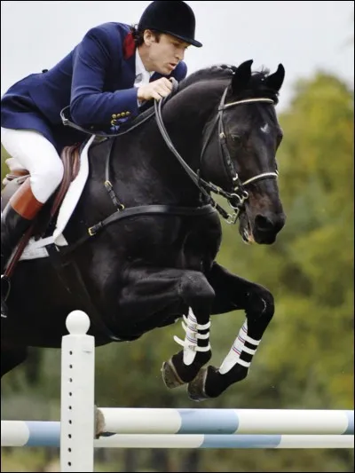 Comment s'appelle le cheval, grand champion de CSO, qui est mort d'une crise cardiaque après une très grande carrière ?