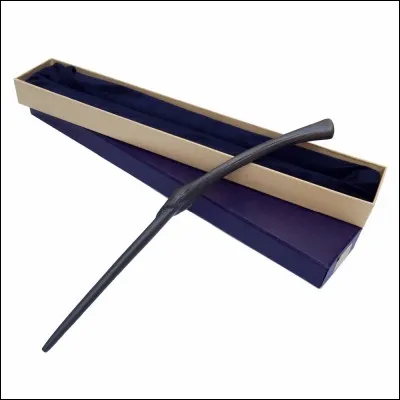 Et qui est le possesseur de cette baguette ?