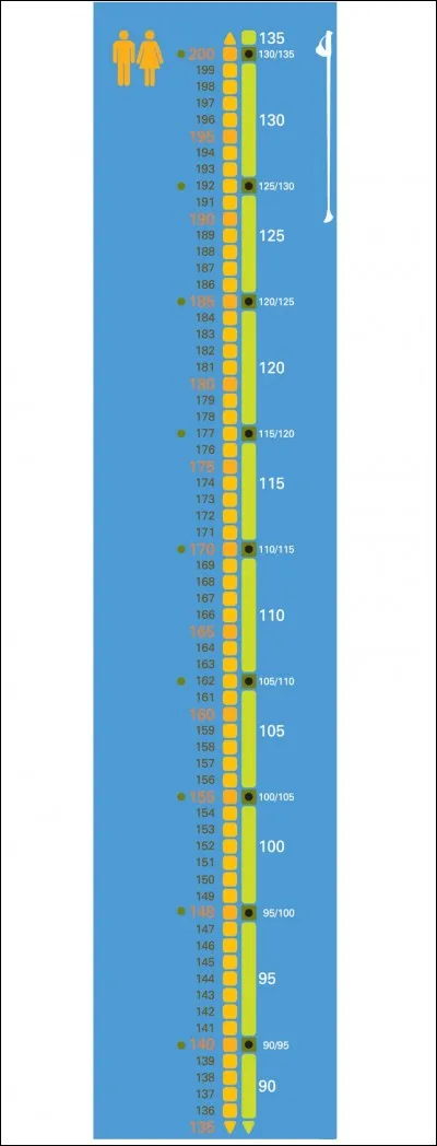 Qui est le plus grand des "dragonnets" ?