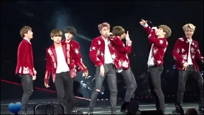 En quelle année, BTS a-t-il fait sa première tournée mondiale ?