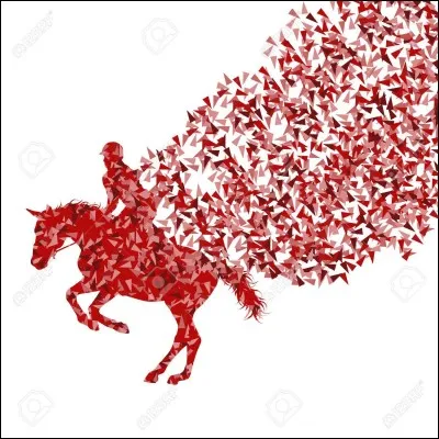 Qu'est-ce que l'&eacute;quitation ?