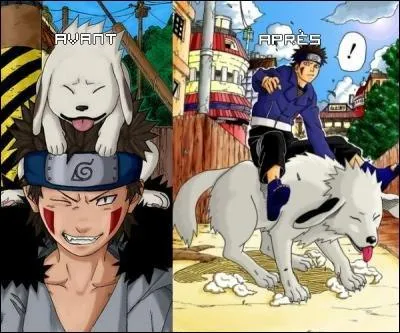 Qui est l'animal suivant ?