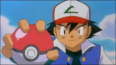 Que sont les Pokémon ?