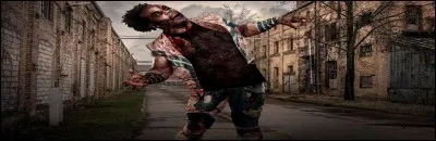 Rappel : relisez la description !
Un film d'horreur, intitulé "31", dont les événements se déroulent durant le nuit du 31 octobre est sorti en 2016.
Qui en est le réalisateur ?