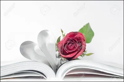 Son roman s'intitulait "Mémoires..."