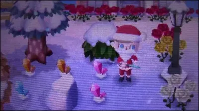 Maintenant, que peut-on faire avec les rochers blancs ?