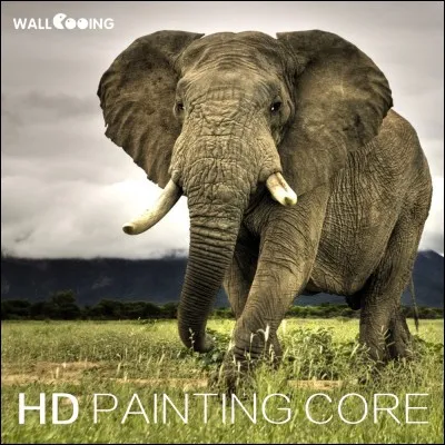 À qui appartient l'éléphant d'ardoise ?