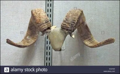 Quel est le pouvoir du bélier de granit ?