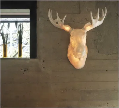 À qui appartient l'élan de platine ?