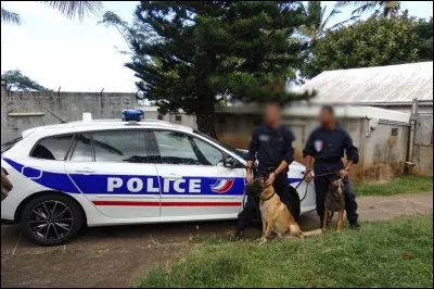 Quelle est la race des chiens que possède la brigade canine ?
