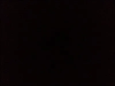 Qui est un animagus non déclarer :