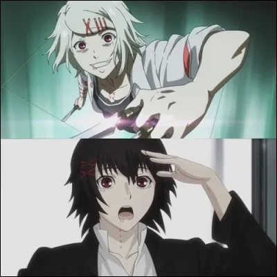 Les barrettes ont une références, laquelle ?