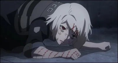 Combien a-t-il de sasori (couteaux) ?